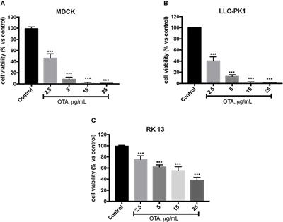 Protective Effect of Hydroxytyrosol Against Oxidative Stress Induced by the Ochratoxin in Kidney Cells: in vitro and in vivo Study